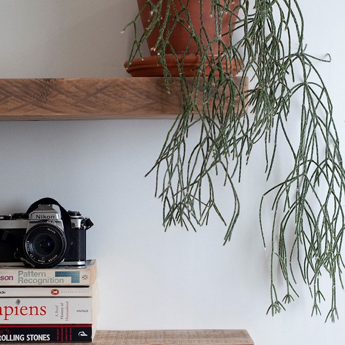 Macrocarpa Floating Shelf  25cm